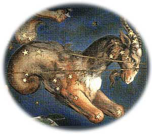 The Capricorn Constellation